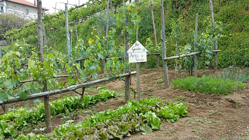 Appartamenti Aria Di Verde Agerola Bagian luar foto