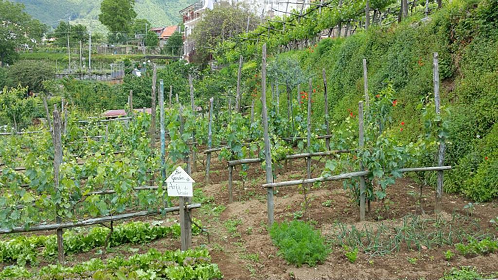 Appartamenti Aria Di Verde Agerola Bagian luar foto