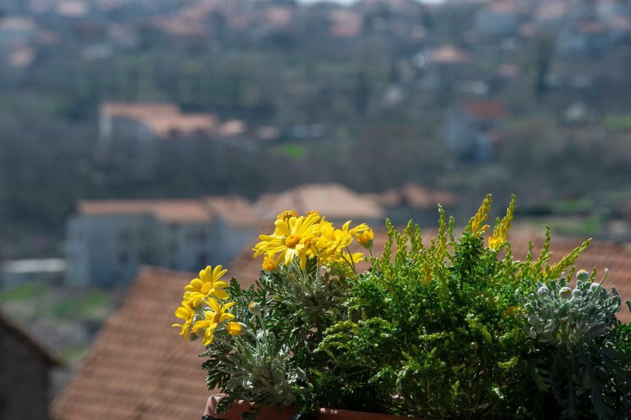 Appartamenti Aria Di Verde Agerola Bagian luar foto